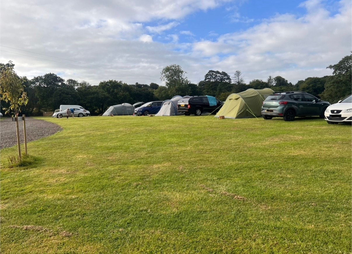 Grass Pitch